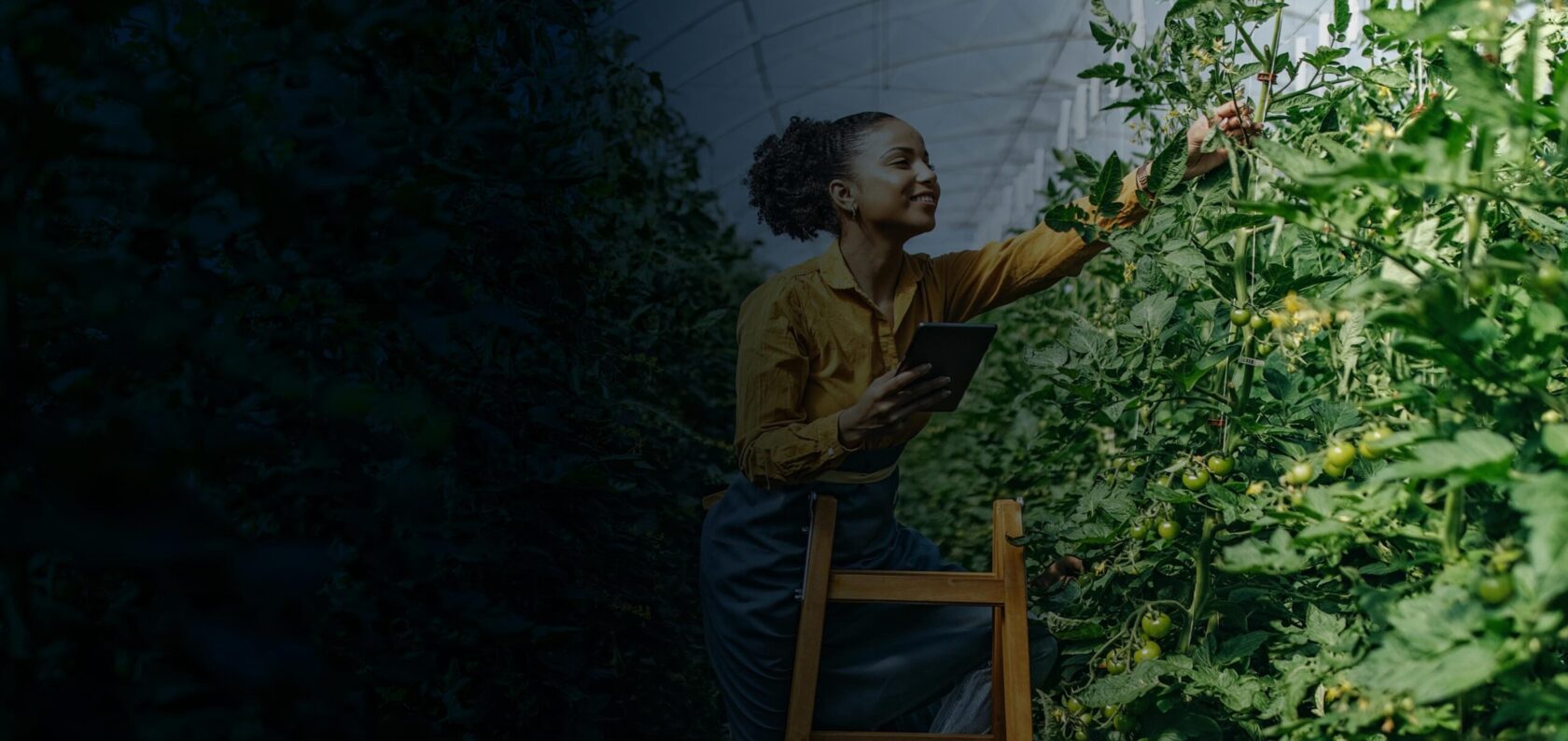 Agtech and Foodtech Image homepage